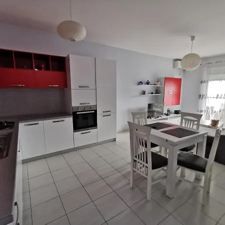 Zamos The Apartamento *